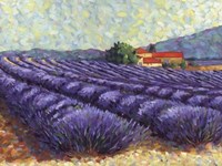 Lavender Fields II Fine Art Print