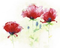 Red Poppies II Fine Art Print