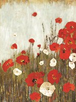 Scarlett Poppies Fine Art Print