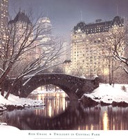 Twilight in Central Park Framed Print