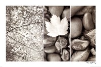 Nature Trio by Alan Majchrowicz - 36" x 24"
