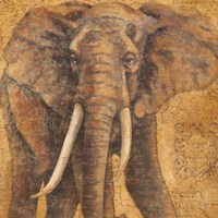 Grand Elephant Fine Art Print