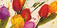 Tulips Fine Art Print