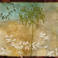 Haven II Fine Art Print