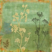 Eco-friendly I Fine Art Print