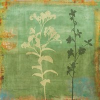 Eco-friendly II Fine Art Print