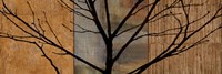 Arboreal I Fine Art Print