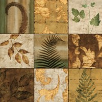 Nature's Touch II Fine Art Print