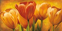 Bouquet of orange tulips Fine Art Print