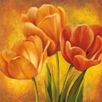 Orange Tulips II Fine Art Print
