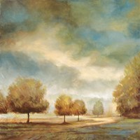 Light and Shadows II Fine Art Print