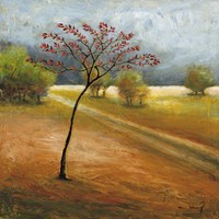 Observation I Fine Art Print