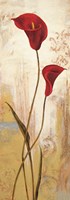 Panneau calla Fine Art Print