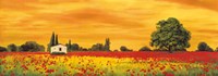 Field of Poppies Fine Art Print