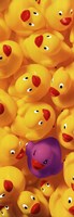 Quack Quack II by Dave Brullmann - 13" x 37"