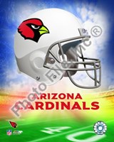 2009 Arizona Cardinals Team Logo Fine Art Print