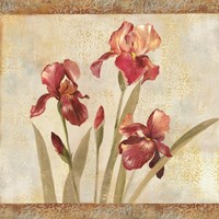 Iris Tapestry I Fine Art Print