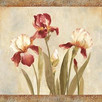 Iris Tapestry II Fine Art Print
