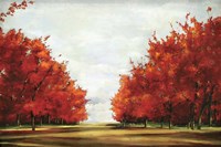 Red Glory Fine Art Print