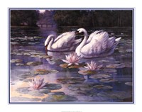 Swans and Bridge Fine Art Print