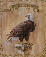 Eagle Freedom Fine Art Print