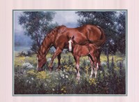 Horse and Foal by Jack Sorenson - 20" x 16"