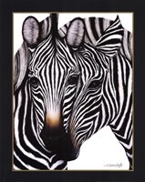 Zebras by Dexter Griffin - 22" x 28"