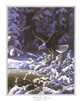 Eagle In Winter Fine Art Print