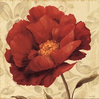 Floral Romance I C by Lisa Audit - 12" x 12"