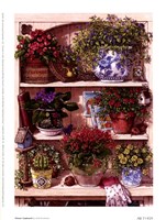 Flower Cupboard Fine Art Print