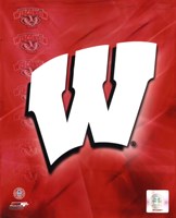 2009 University of Wisconsin Badgers Team Logo Fine Art Print