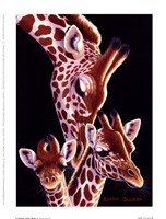 6" x 8" Giraffe Pictures