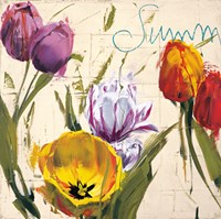 Summer Tulips Fine Art Print