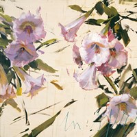 Petunia Fine Art Print