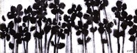 Black Flowers on White II Fine Art Print