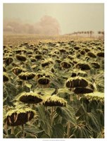 Turning Point I Fine Art Print