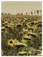 Turning Point II Fine Art Print