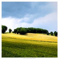 Larrissingle I Fine Art Print