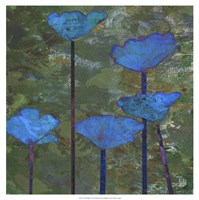 Teal Poppies I Fine Art Print