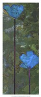 Teal Poppies III Fine Art Print