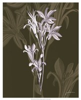 Jewel Stems II Fine Art Print