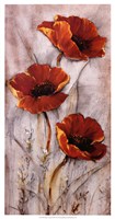 Red Poppies on Taupe II Fine Art Print