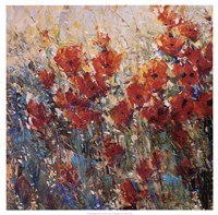 Red Poppy Field I Fine Art Print