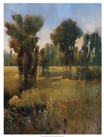 Sunkissed Field II by Timothy O'Toole - 19" x 25"