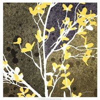 Moon Flowers IV Fine Art Print