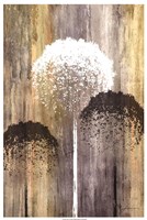 Rustic Garden I Fine Art Print