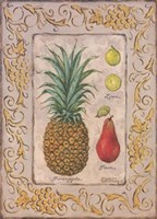 Tropical Fruit II Fine Art Print