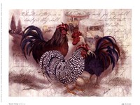 Rooster Trinity Fine Art Print