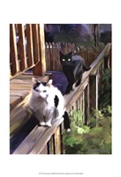Cats Fencing by Robert McClintock - 13" x 19"