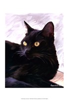Black Cat Portrait by Robert McClintock - 13" x 19"